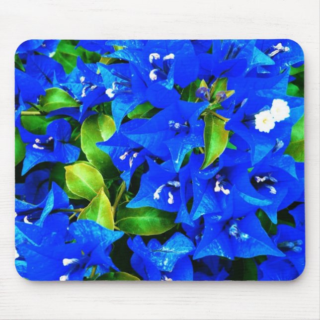 Vibrant Blue Bougainvillea Flowers Mouse Pad (Front)