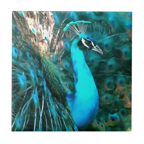 Vibrant Blue Peacock In With Fanned Tail Tile