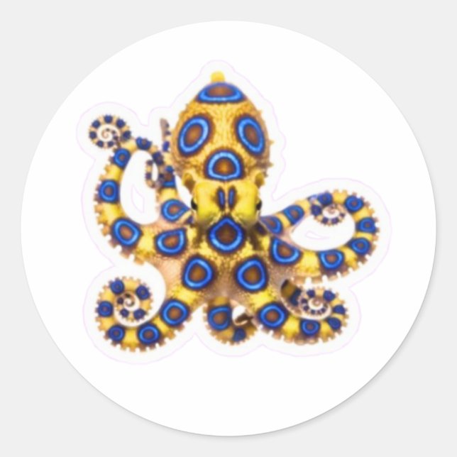 ​Vibrant Blue Ring Octopus Decal - Exotic Marine B Classic Round Sticker (Front)