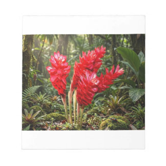 Vibrant Botanical Ginger Blossom Coffee Mug Notepad