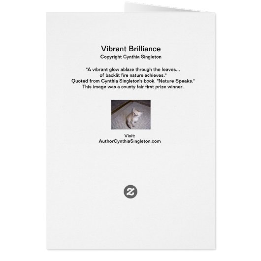 Vibrant Brilliance (Back)