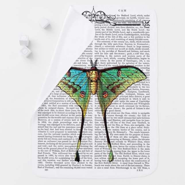 Vibrant Butterfly Baby Blanket (In Situ)