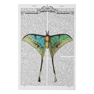Vibrant Butterfly Faux Canvas Print