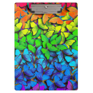 Vibrant Butterfly Rainbow Hive Clipboard Offce