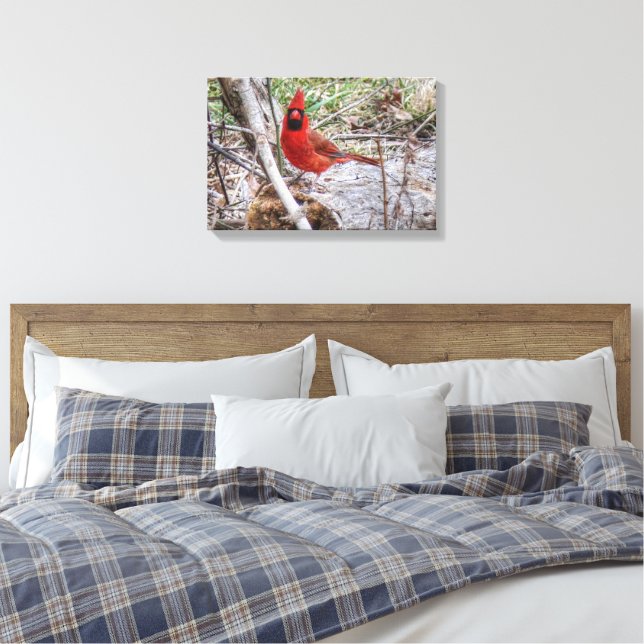 Vibrant Cardinal Canvas Print (Insitu(Bedroom))