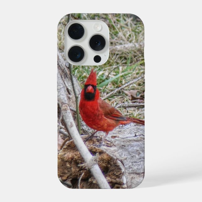 Vibrant Cardinal iPhone Case (Back)