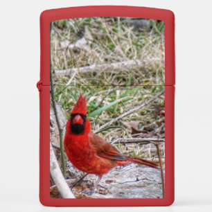 Vibrant Cardinal Zippo Lighter