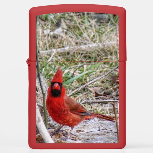 Vibrant Cardinal Zippo Lighter (Front)