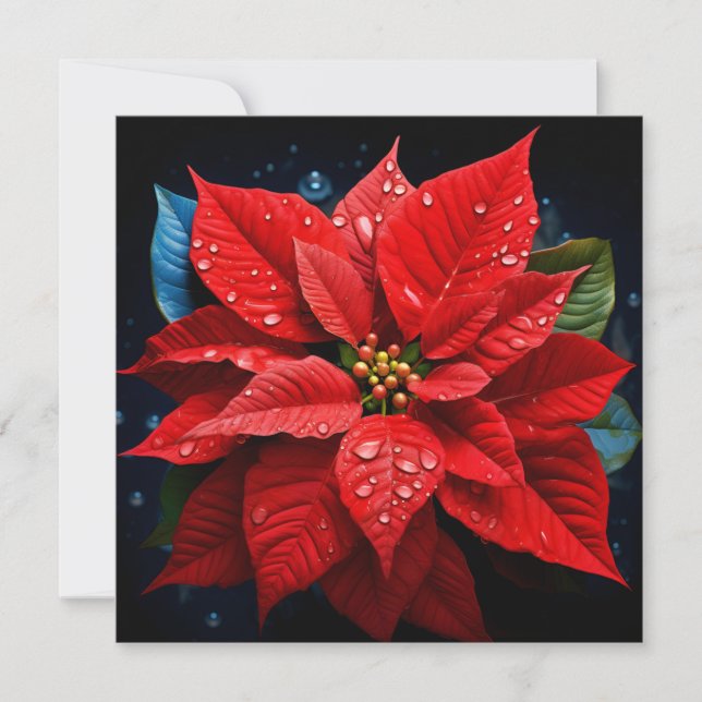 Vibrant Christmas Poinsettia holiday greeting card (Front)
