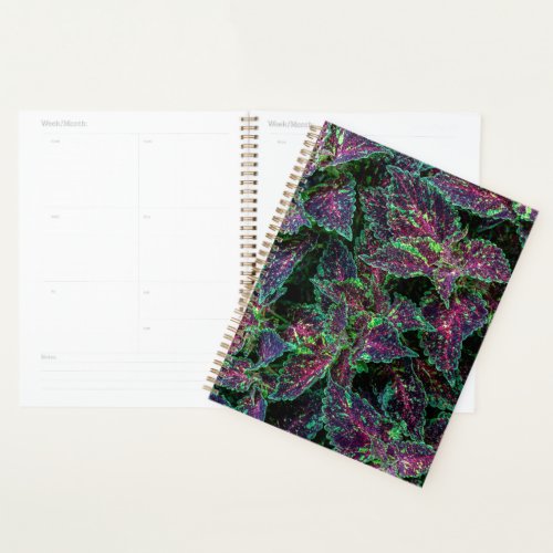 Vibrant Coleus Leaves Pattern. Planner