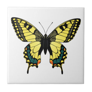 vibrant color butterfly ceramic tile
