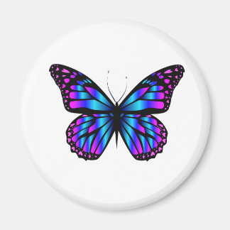 vibrant color butterfly magnet