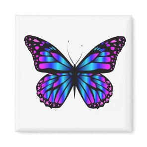 vibrant color butterfly  magnet