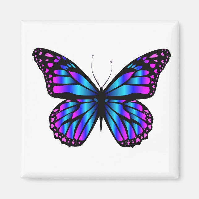 vibrant color butterfly  magnet (Front)