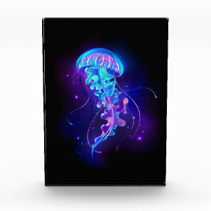 Vibrant Color Glowing Jellyfish Photo Block