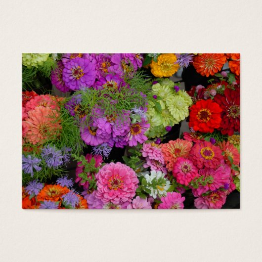 Vibrant colored daisies (Front)