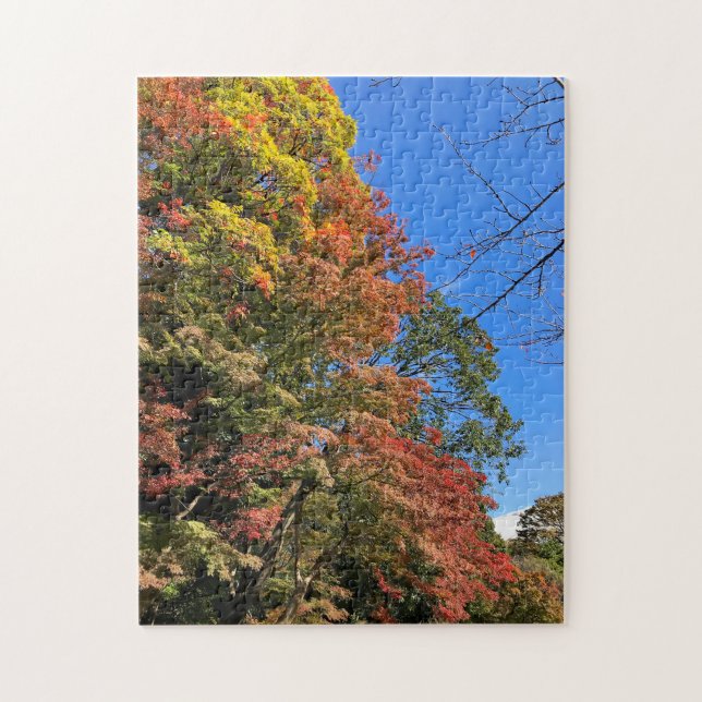 Vibrant Colored Maples Jigsaw Puzzle (Vertical)
