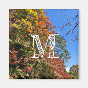 Vibrant Colored Maples Magnet