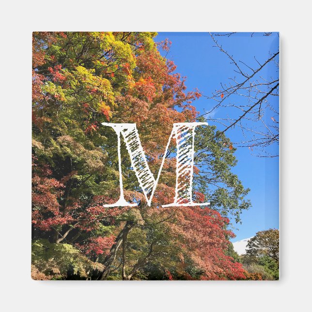 Vibrant Colored Maples Magnet (Front)