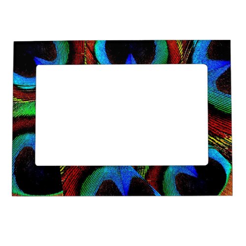 Vibrant Colored Peacock Feather  Magnetic Frame
