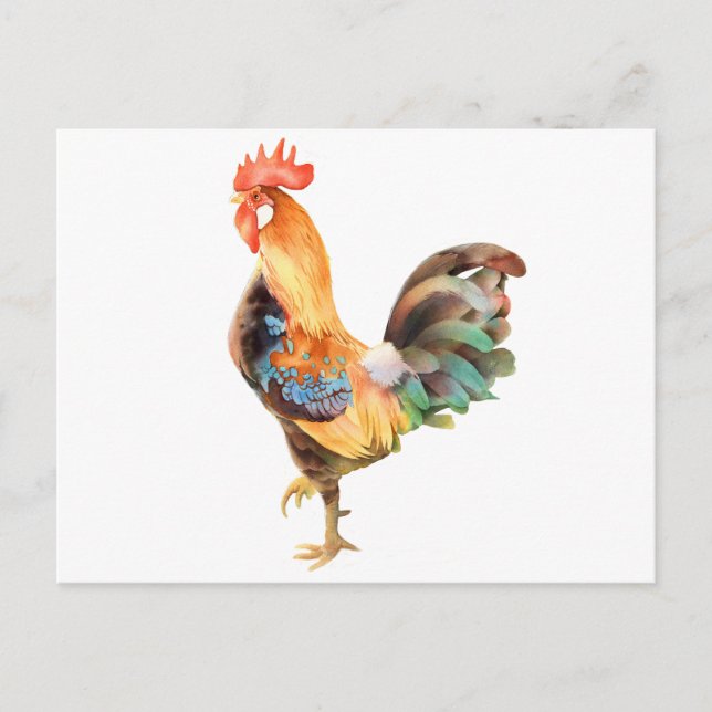 Vibrant colored Rooster Postcard (Front)