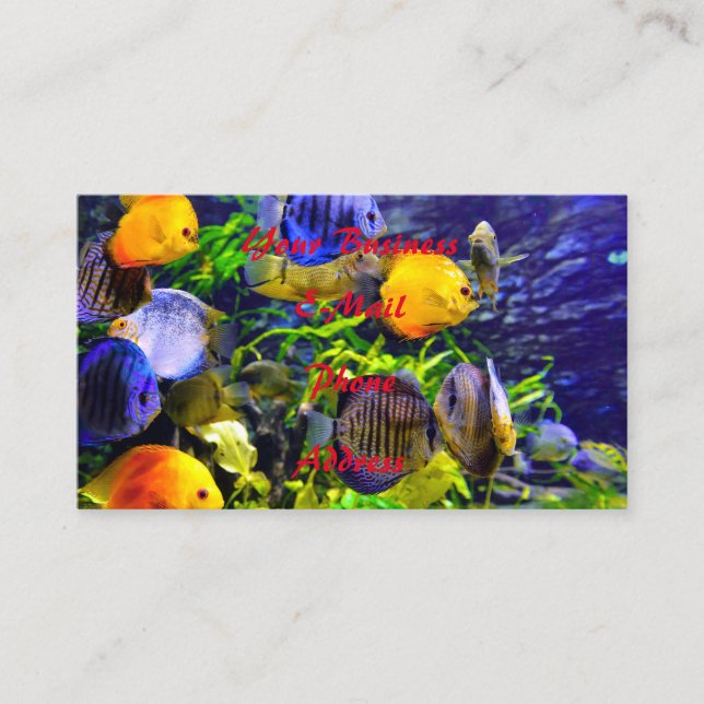 Vibrant Colorful Aquatic Tropical Sea Fish Business Card (Front)