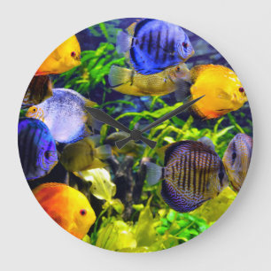 Vibrant Colorful Aquatic Tropical Sea Fish Large Clock