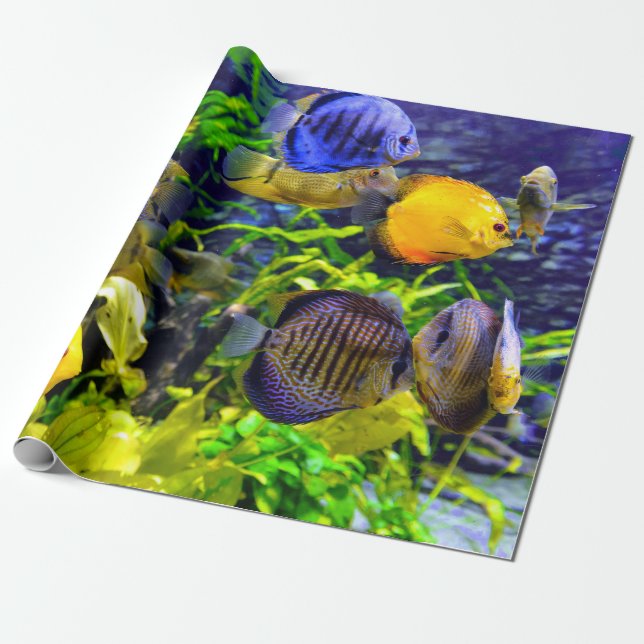 Vibrant Colorful Aquatic Tropical Sea Fish Wrapping Paper (Unrolled)