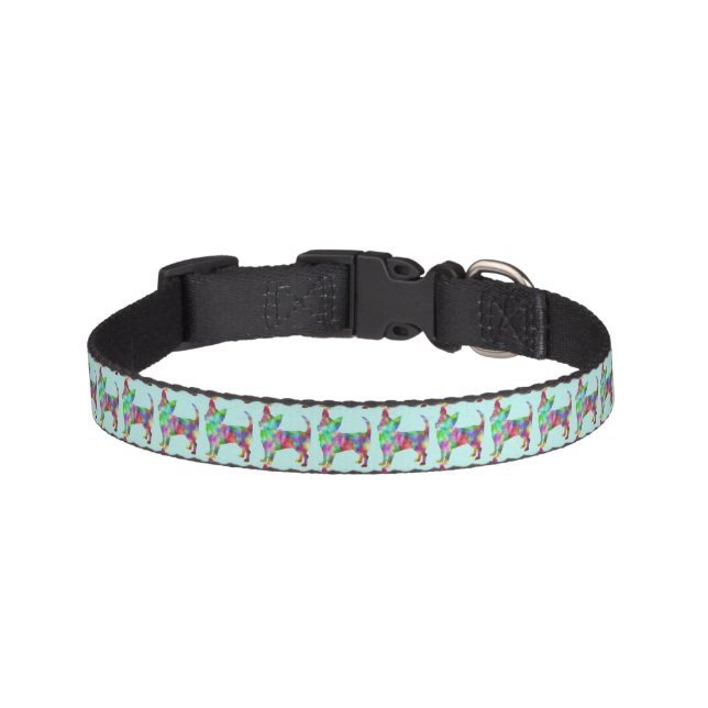 Vibrant Colorful Chihuahuas Dog Collar (Front)