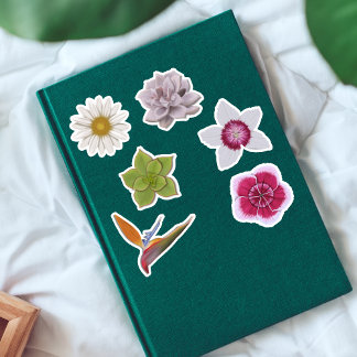 Vibrant Colorful Hand-Drawn Wildflower & Succulent Sticker
