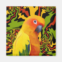 Vibrant Colorful Sun Conure Parrot
