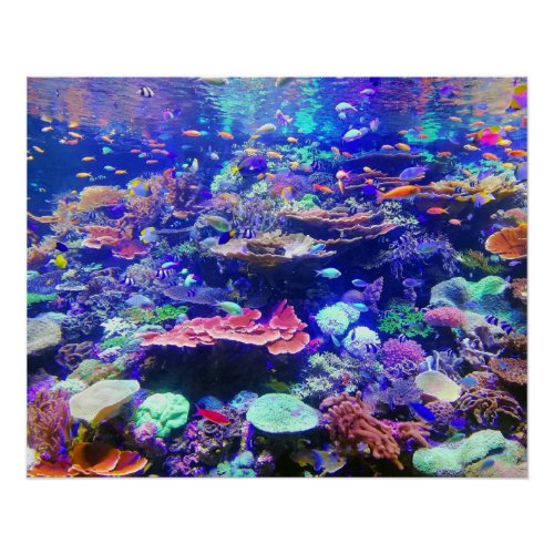 Vibrant Colorful Tropical Fish Aquarium Poster