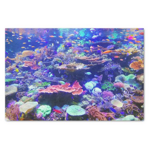 Vibrant Colorful Tropical Fish Aquarium Tissue Paper
