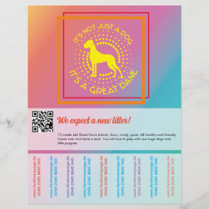 Vibrant colors selling flyer 