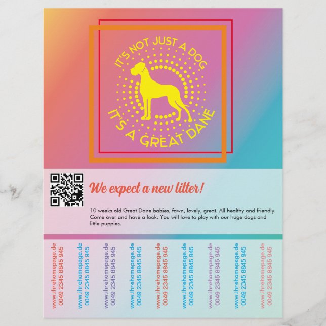 Vibrant colors selling flyer  (Front)