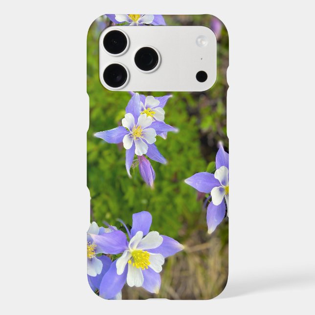 Vibrant Columbine Flowers in Violet Blue Yellow iPhone Case (Back)