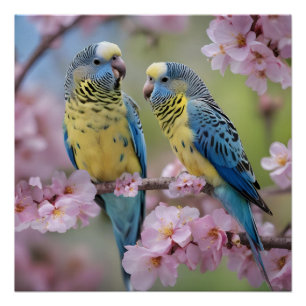 "Vibrant Companions: Blue and Yellow Budgies" Poster