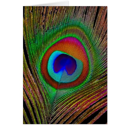 Vibrant Copper Peacock Feather (Front)