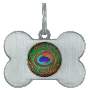 Vibrant Copper Peacock Feather Pet ID Tag