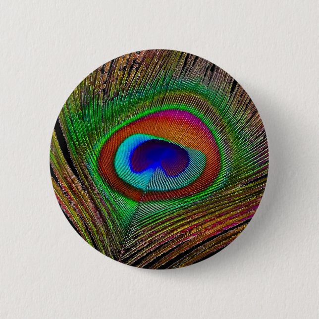 Vibrant Copper Peacock Feather Pinback Button (Front)