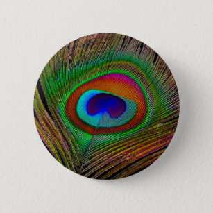 Vibrant Copper Peacock Feather Pinback Button