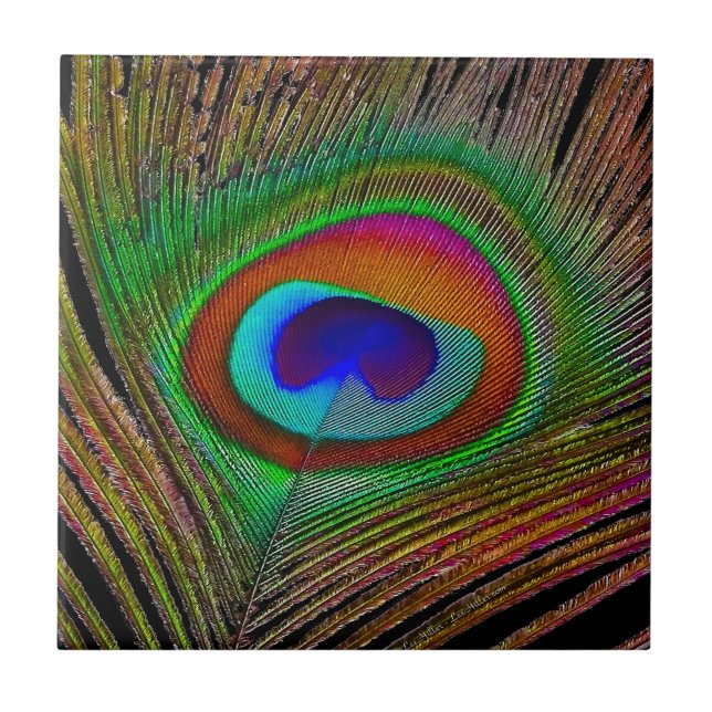 Vibrant Copper Peacock Feather Tile (Front)