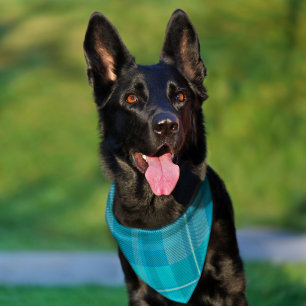 Vibrant Cyan Electric Blue Plaid Aesthetic Pet Bandana Collar