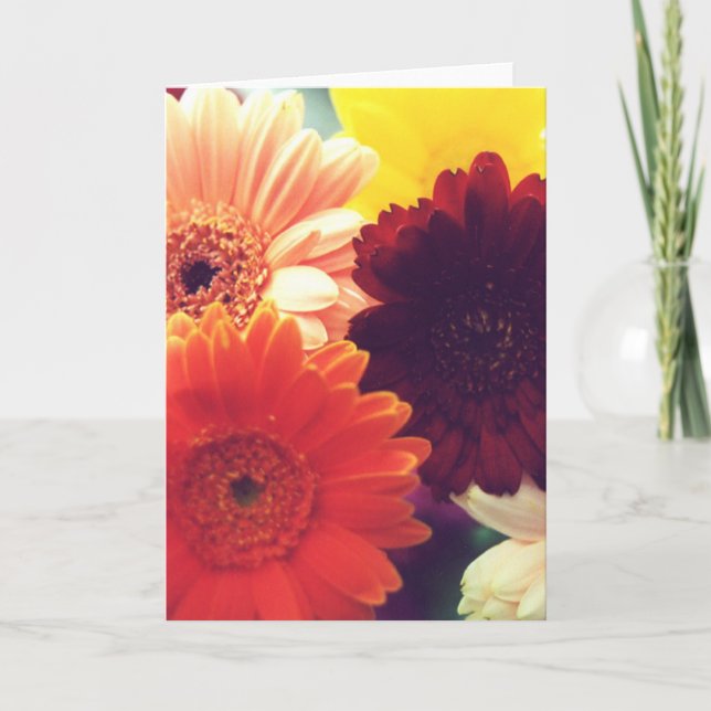 Vibrant Daisy Flower Photo Note or Greeting Card (Front)