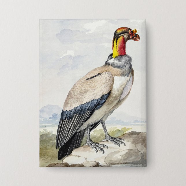 Vibrant Exotic King Vulture Wall Decor Button (Front)