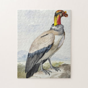 Vibrant Exotic King Vulture Wall Decor Jigsaw Puzzle