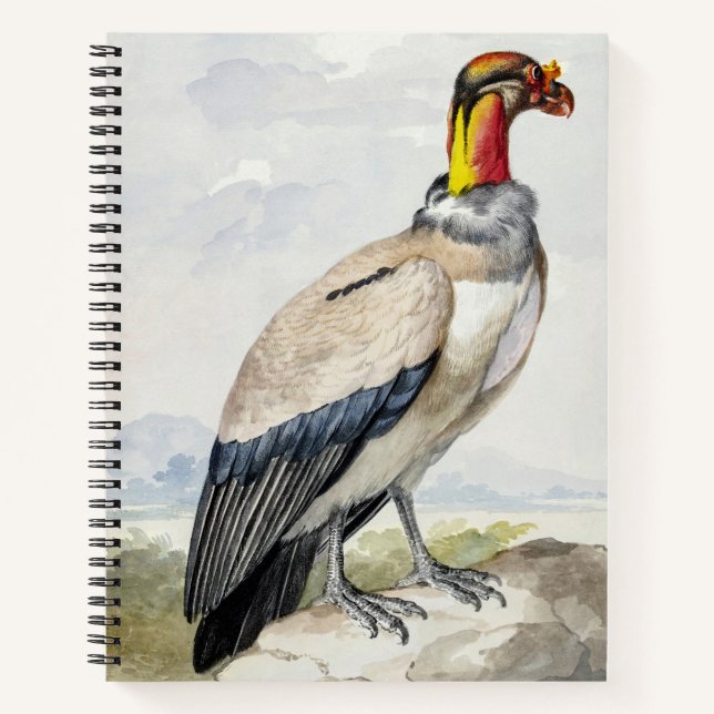 Vibrant Exotic King Vulture Wall Decor Notebook (Front)