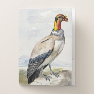 Vibrant Exotic King Vulture Wall Decor Pocket Folder