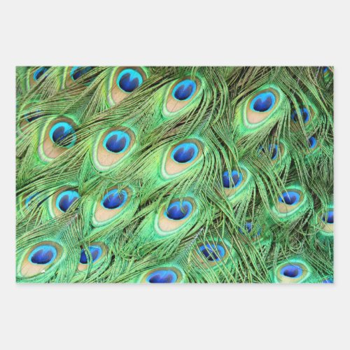 Vibrant Exotic Peacock Feathers Wrapping Paper Sheets