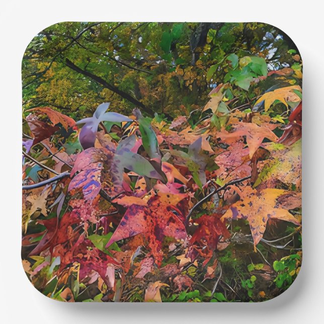Vibrant Fall Foliage Paper Plate (Front)